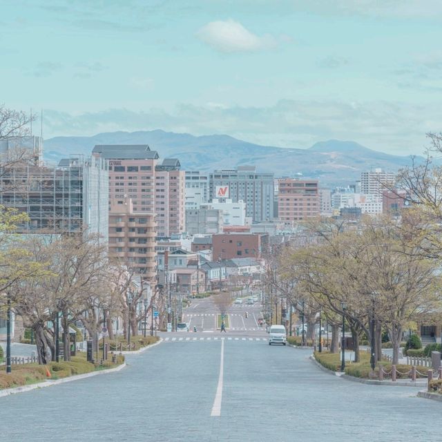 일본영화에 들어간듯한 분위기의 하치만자카