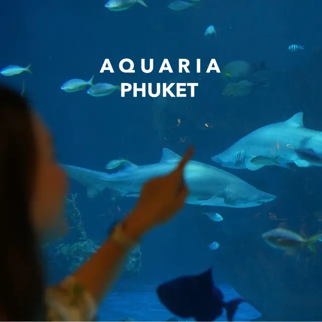 Aquaria Phuket 🪼