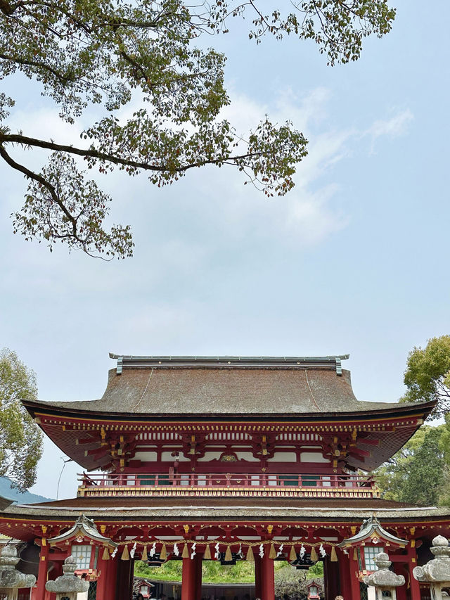 ✈️九州福岡必去景點太宰府天滿宮半日遊🤎