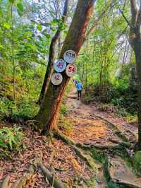 Kledang Hill M.E.T