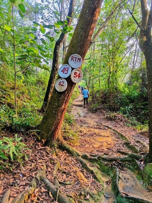 Kledang Hill M.E.T