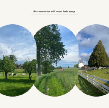 ลินเด้ พาร์ค: ผ่อนคลายบนสนามหญ้า