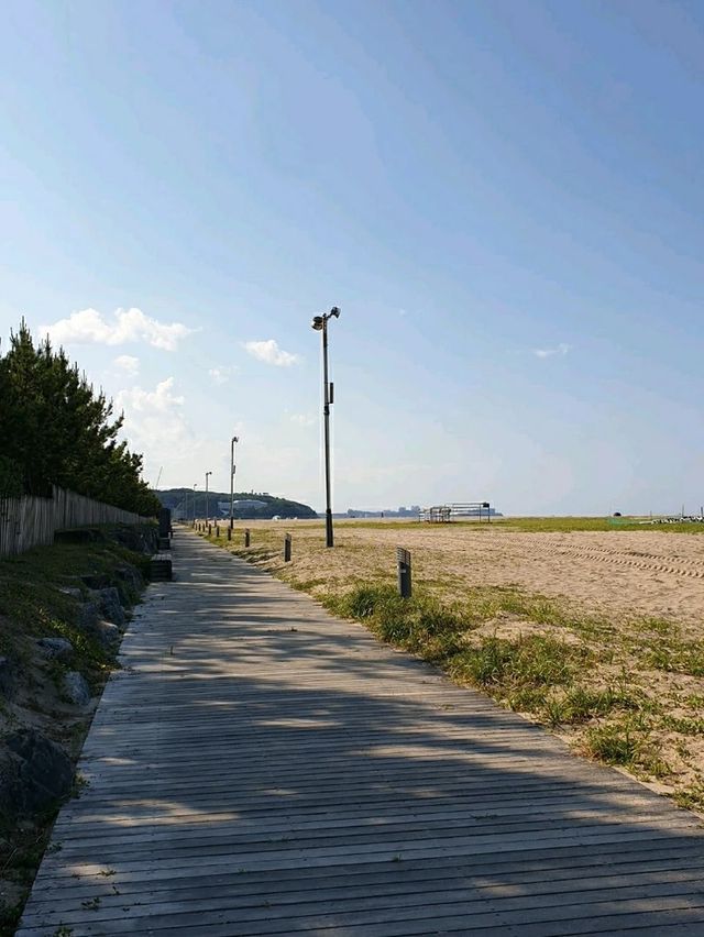 🌊 파도는 나를 바람으로 이끄네 - 양양 낙산해수욕장