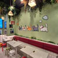 Cute Cat Themed Dessert Cafe 😺