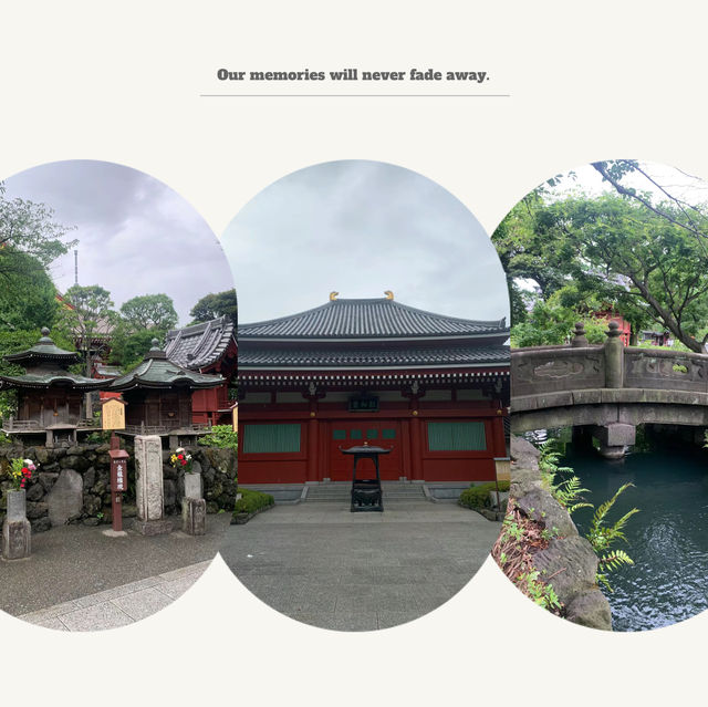 慈光院庭園：匠心設計，必到之處