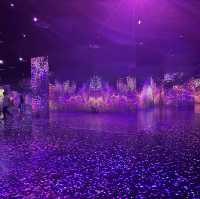 【江陵】Arte Museum Valley：2小時沉浸式藝術體驗