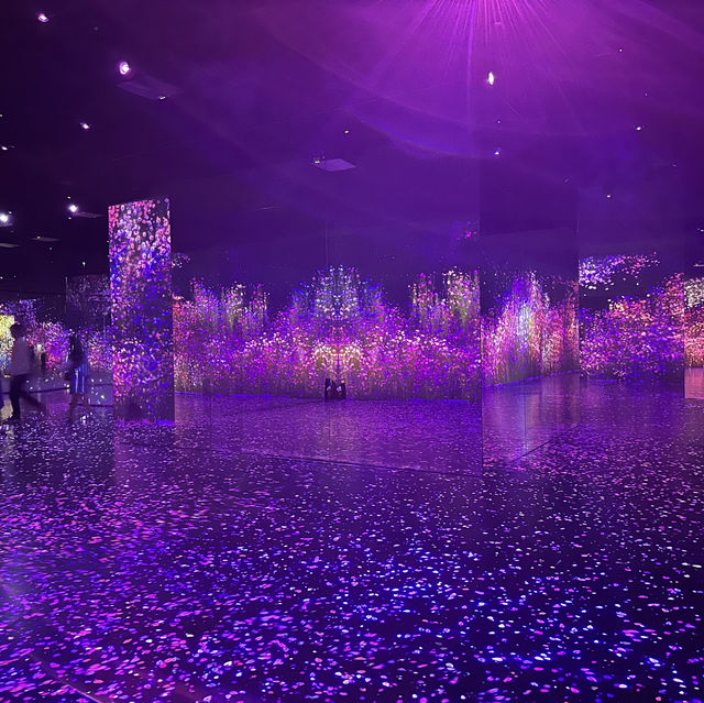 【江陵】Arte Museum Valley：2小時沉浸式藝術體驗
