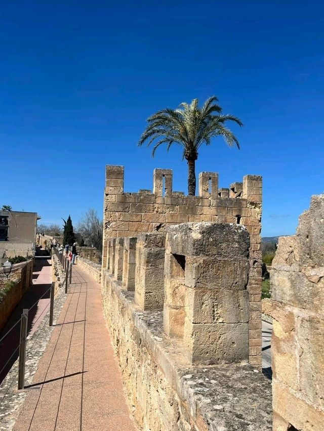 【西班牙馬略卡島】Alcúdia：海灘，市場，四季好天氣