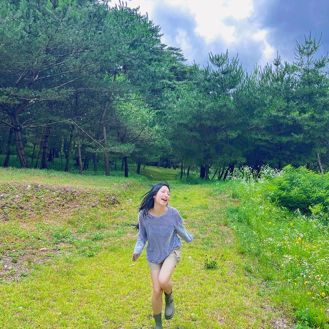 🌳이 우뚝 서있는 영월의 자연보존 랜드마크  