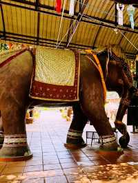 สายมูห้ามพลาด : กู่ช้างกู่ม้า จังหวัดลำพูน