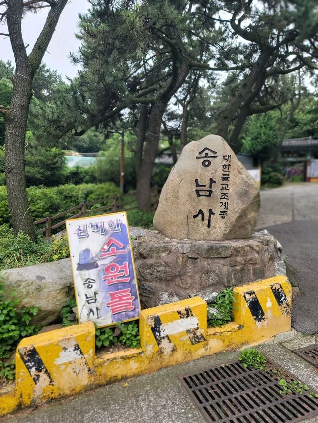 수국이 예쁘게 핀 영도사찰 송남사💜