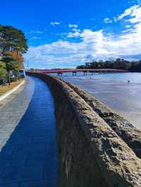 Matsushima: A Day Trip Paradise of Islands