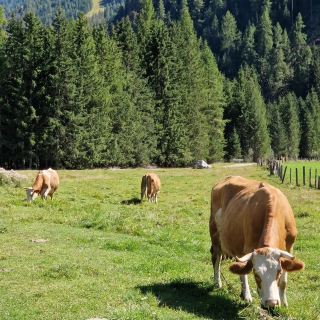 East Tyrol