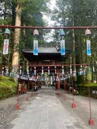 【栃木/日光】夏の「二荒山神社」⛩️🎐