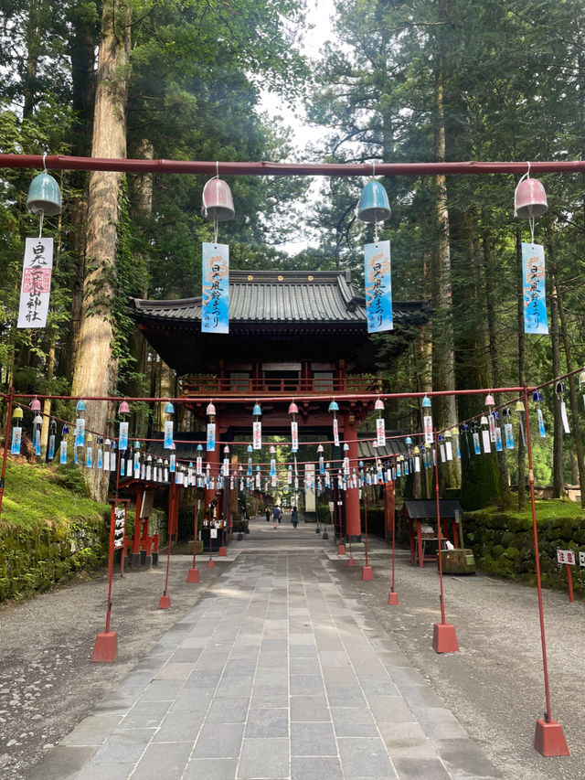 【栃木/日光】夏の「二荒山神社」⛩️🎐