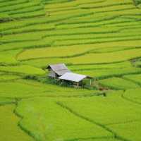 นาขั้นบันได - บ้านเวร บ่อเกลือ, น่าน