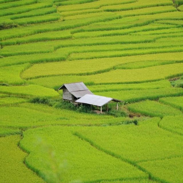 นาขั้นบันได - บ้านเวร บ่อเกลือ, น่าน