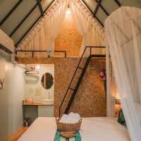 ⛰Chanya Forest Resort ... ช้างกลาง