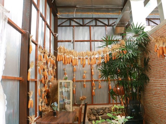เที่ยวคาเฟ่ ข้าวโพด ณ ปาฎี