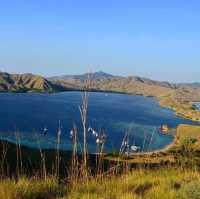 Unveiling Flores' Secrets: A Breathtaking Adventure