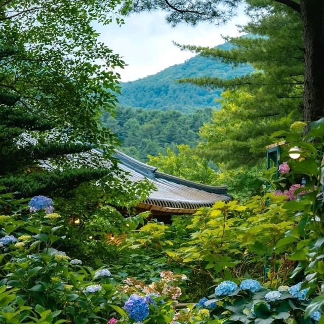 Uncover Seoul's Hidden Beauty 🇰🇷🌿