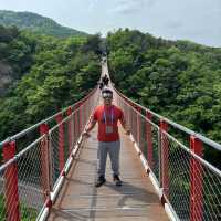 DMZ: A journey through history and hope