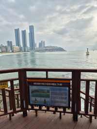 Dongbaek Island Busan