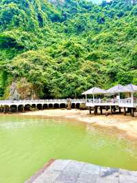 Visit Surprise Cave In Halong Bay Vietnam🇻🇳✨