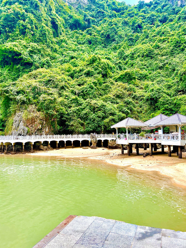 Visit Surprise Cave In Halong Bay Vietnam🇻🇳✨