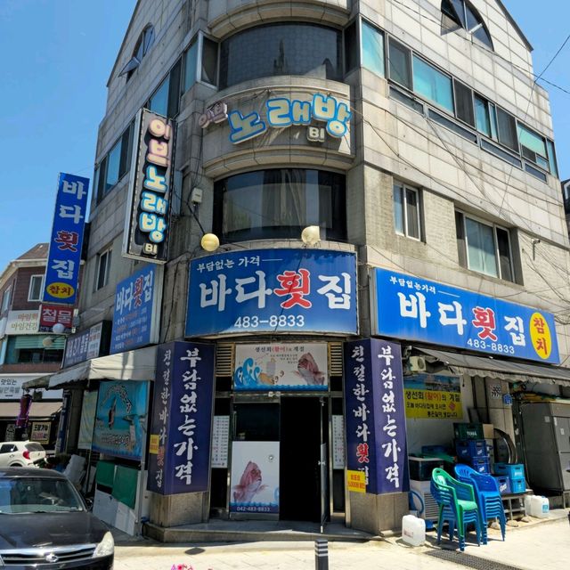 국내여행 대전을 여행할 때 들려보면 좋을 바다횟집