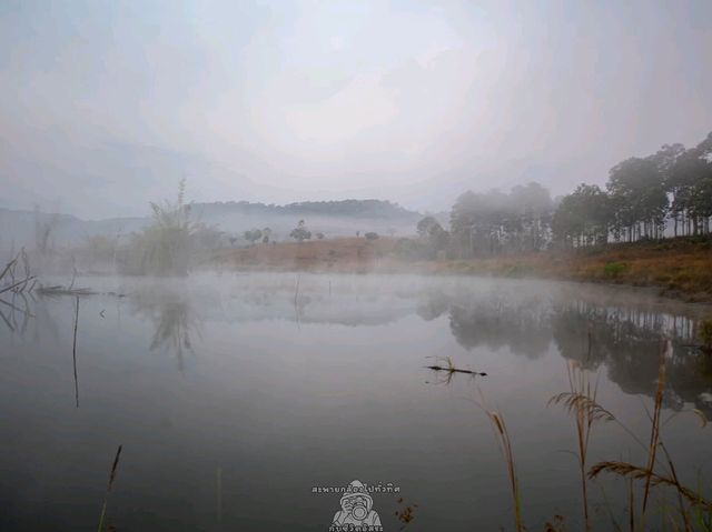 จุดกางเต็นท์หนองแม่นา