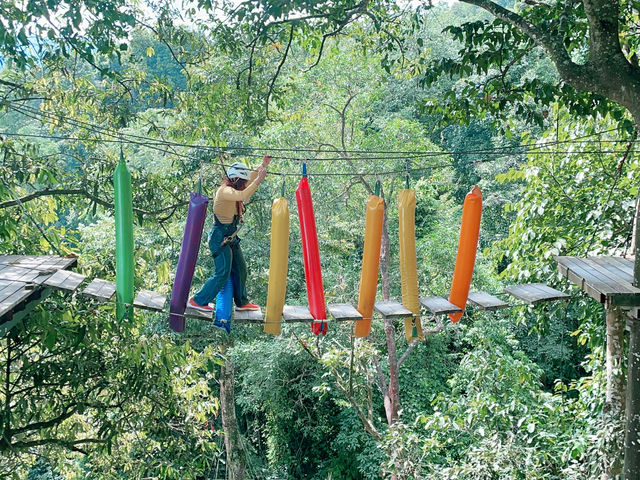 Chiang Mai Pongyang Jungle Coaster and Zipline Tour