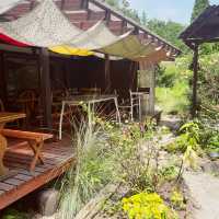 【長野県/茅野　森の中にいるような🌿オシャレなイタリアンレストラン🍽️】
