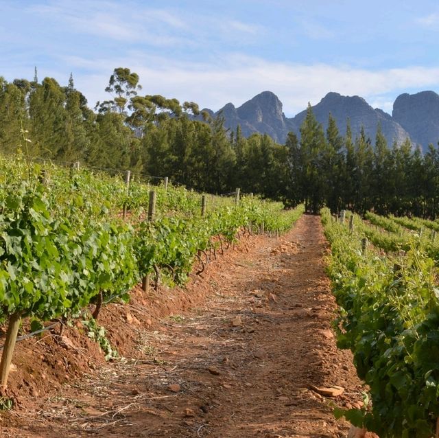 Cape town, South Africa