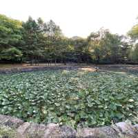 荘陵　端宗のお墓に参る