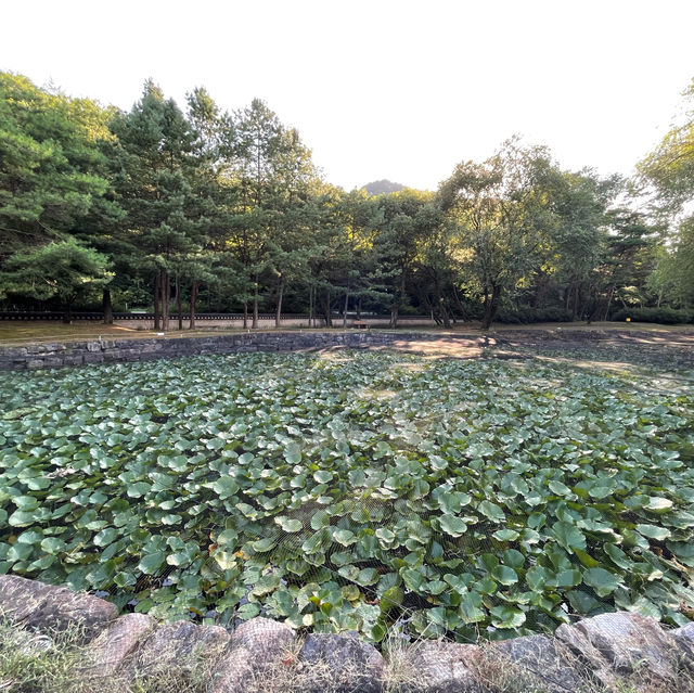 荘陵　端宗のお墓に参る