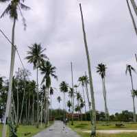 Paradise Found: Mangkuk Beach's Hidden Charm