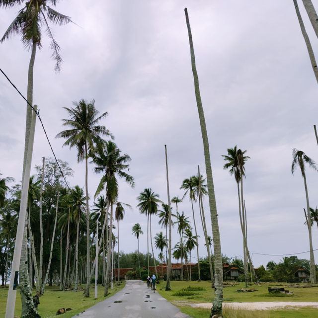 Paradise Found: Mangkuk Beach's Hidden Charm