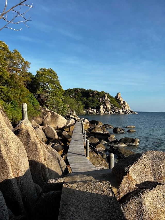  🏝️📍Freedom beach เกาะเต่า