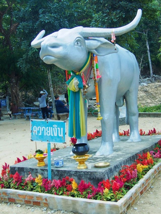 วัดพระพุทธบาทภูควายเงิน เชียงคาน จ.เลย