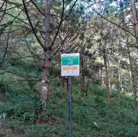 Lang Biang Mountain Hike