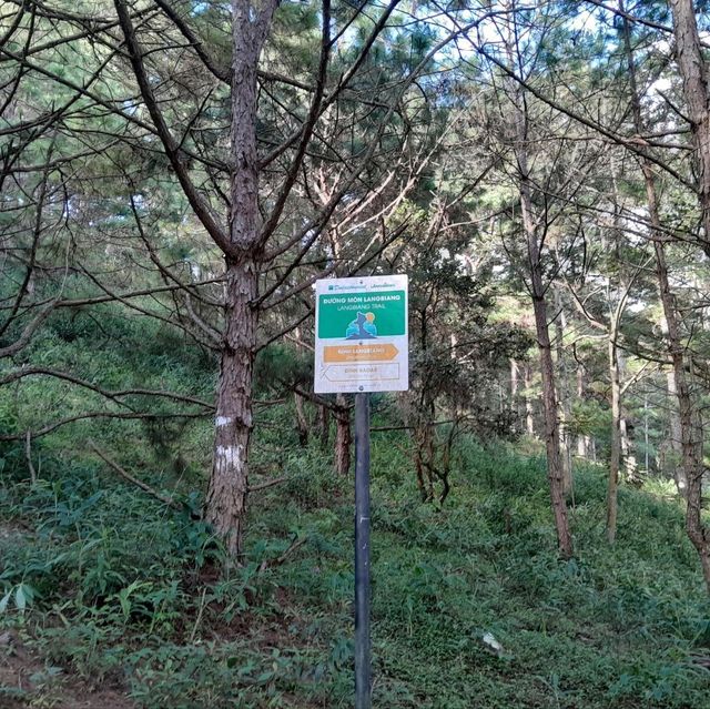 Lang Biang Mountain Hike