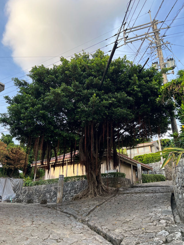 【沖縄🇯🇵】琉球王国時代の歴史ある石畳道を辿って首里城まで行こう！