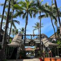 Maui: An Unforgettable Love Story in Hawaii’s Island of Wonders