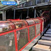 澳洲雪梨-一次體驗藍山國家公園的三種纜車