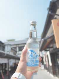 JALで行く 日帰り熊本旅行