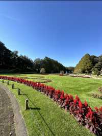 〜神奈川県〜ドラマ、映画の撮影にも使われる！相模原公園