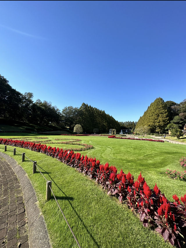 〜神奈川県〜ドラマ、映画の撮影にも使われる！相模原公園