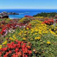 The Hidden Beaches of Big Sur, California