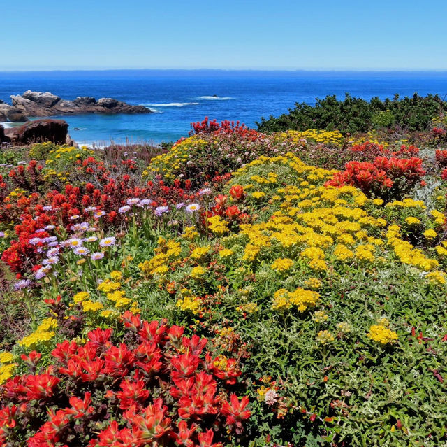 The Hidden Beaches of Big Sur, California